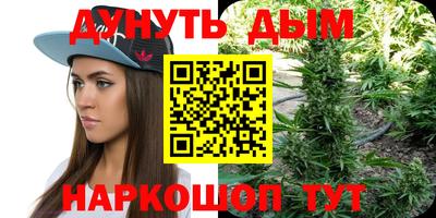мдпв Будённовск