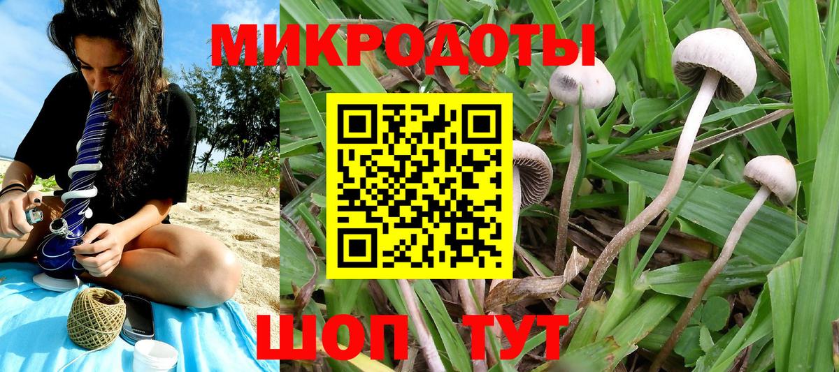 Галлюциногенные грибы MAGIC MUSHROOMS  Галлюциногенные грибы прущие грибы  Вход с VPN  Новосибирск 